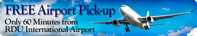 Free Airport Pick-up