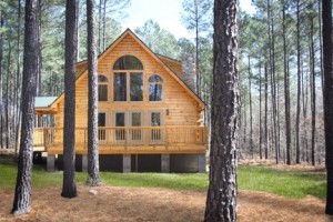 Dave & Connie's Mayfield log home