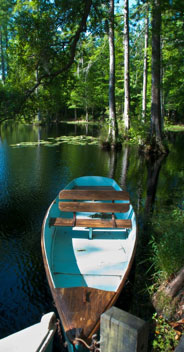 A Cypress Boat