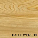 Bald Cypress